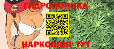 PSILOCYBIN Ставрополь